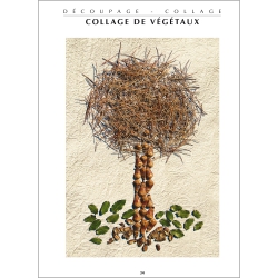 Exemple de fiche