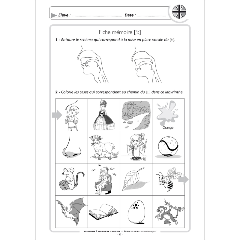 Exemple de fiche