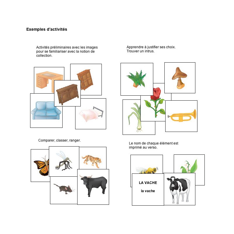 Exemple d'activités Exemple d'activités
