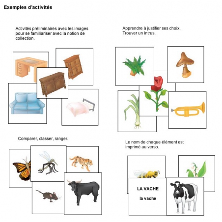 Exemple d'activités Exemple d'activités