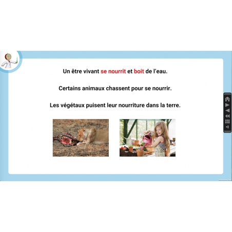 Editeur de leçon Editeur de leçon