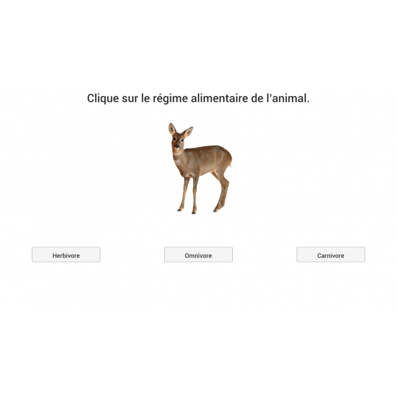 Animation Animation