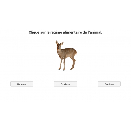 Animation Animation
