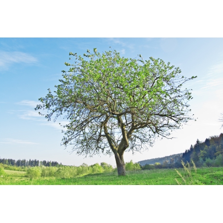 Photographies et illustrations Photographies et illustrations