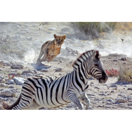 Photographies et illustrations Photographies et illustrations