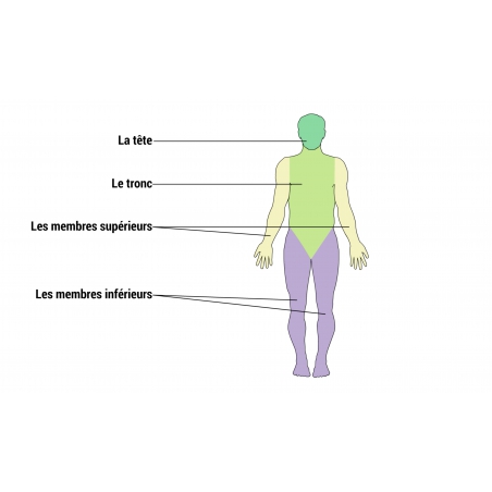 LES LEÇONS NUMÉRIQUES QUESTIONNER LE MONDE LES LEÇONS NUMÉRIQUES QUESTIONNER LE MONDE