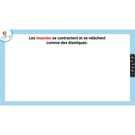 LES LEÇONS NUMÉRIQUES QUESTIONNER LE MONDE – Les comportements favorables à la santé LES LEÇONS NUMÉRIQUES QUESTIONNER LE MONDE – Les comportements favorables à la santé