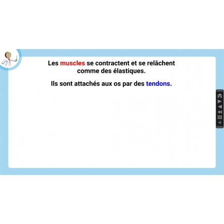 LES LEÇONS NUMÉRIQUES QUESTIONNER LE MONDE – Les comportements favorables à la santé LES LEÇONS NUMÉRIQUES QUESTIONNER LE MONDE – Les comportements favorables à la santé