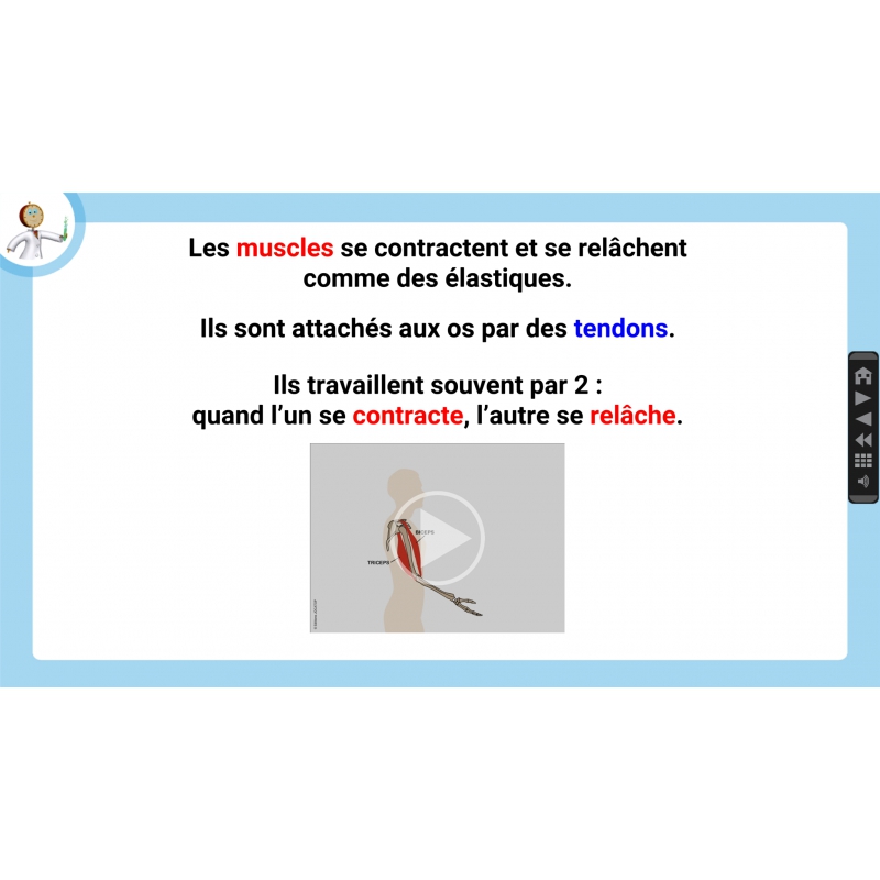 LES LEÇONS NUMÉRIQUES QUESTIONNER LE MONDE – Les comportements favorables à la santé LES LEÇONS NUMÉRIQUES QUESTIONNER LE MONDE – Les comportements favorables à la santé