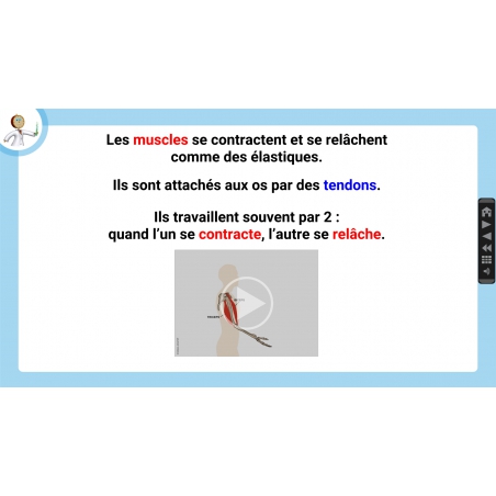 LES LEÇONS NUMÉRIQUES QUESTIONNER LE MONDE – Les comportements favorables à la santé LES LEÇONS NUMÉRIQUES QUESTIONNER LE MONDE – Les comportements favorables à la santé