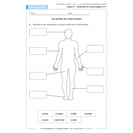 LES LEÇONS NUMÉRIQUES QUESTIONNER LE MONDE – Les comportements favorables à la santé LES LEÇONS NUMÉRIQUES QUESTIONNER LE MONDE – Les comportements favorables à la santé