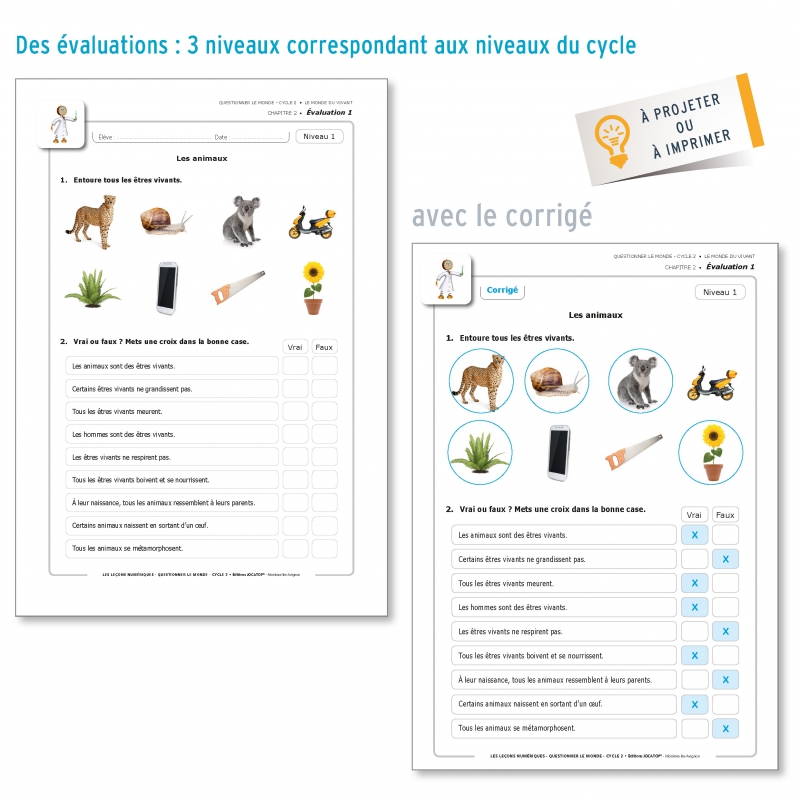 LES LEÇONS NUMÉRIQUES QUESTIONNER LE MONDE LES LEÇONS NUMÉRIQUES QUESTIONNER LE MONDE
