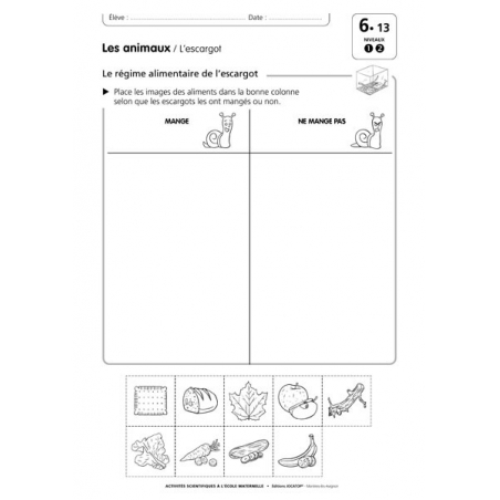Exemple de fiche élève Exemple de fiche élève