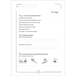 Exemple de fiche