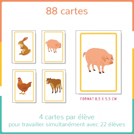 Haut les cartes ! - Niv. 1 - PS Haut les cartes ! - Niv. 1 - PS