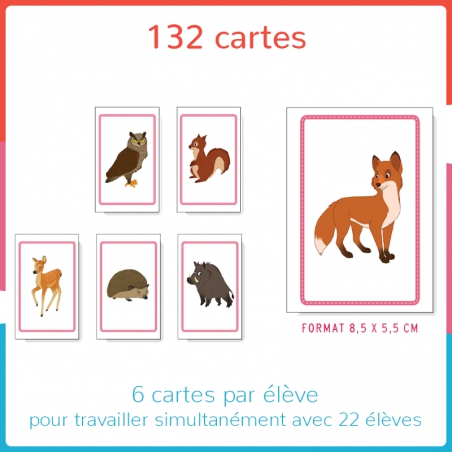 Haut les cartes ! - Niv. 2 - MS Haut les cartes ! - Niv. 2 - MS