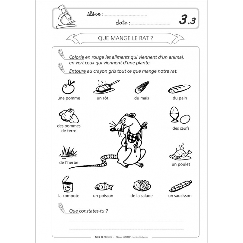 Exemple de fiche Exemple de fiche