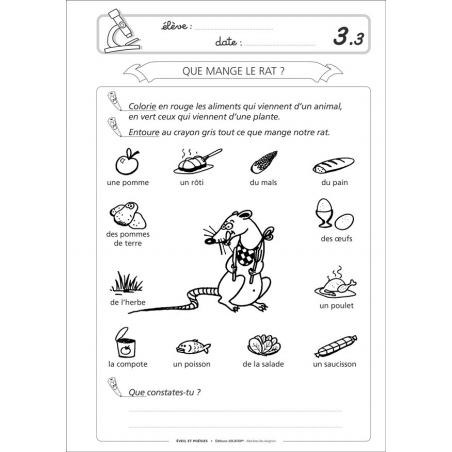 Exemple de fiche Exemple de fiche