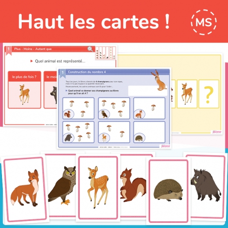 Haut les cartes ! - Niv. 2 - MS Haut les cartes ! - Niv. 2 - MS