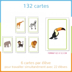 Haut les cartes ! - Niv. 3 - GS