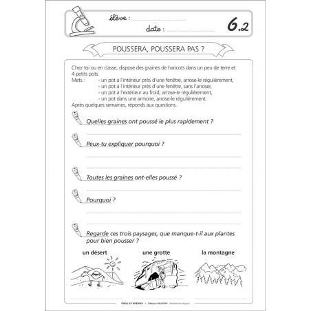 Exemple de fiche Exemple de fiche