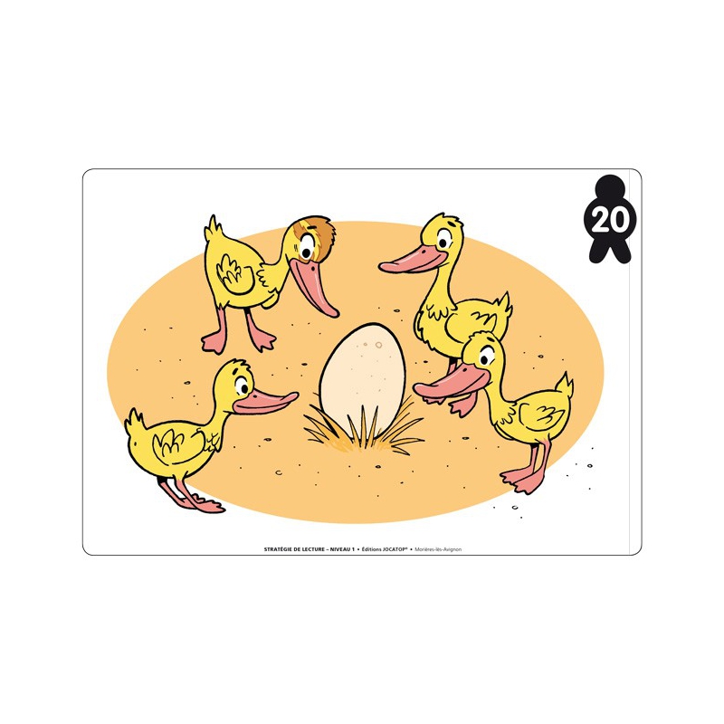 Exemple de flashcard Exemple de flashcard