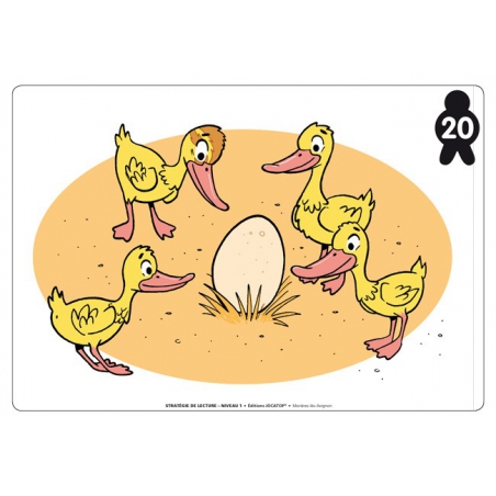 Exemple de flashcard Exemple de flashcard