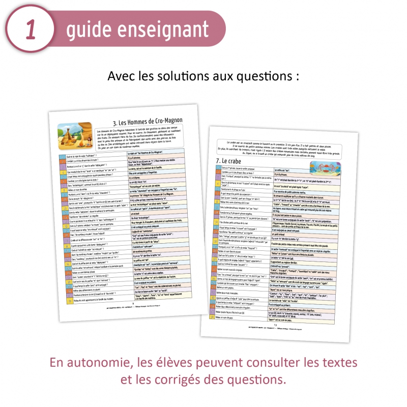 Au cœur du texte • CE • Niveau 2 Au cœur du texte • CE • Niveau 2