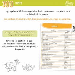 Je réussis mes dictées au CE1