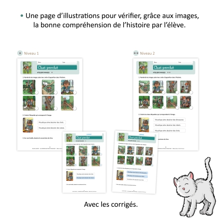 Les aventures de Pirate et Moustique - Niveau 2 - Fichier pédagogique Les aventures de Pirate et Moustique - Niveau 2 - Fichier pédagogique