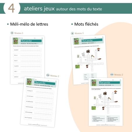 Les aventures de Pirate et Moustique - Niveau 2 - Fichier pédagogique Les aventures de Pirate et Moustique - Niveau 2 - Fichier pédagogique