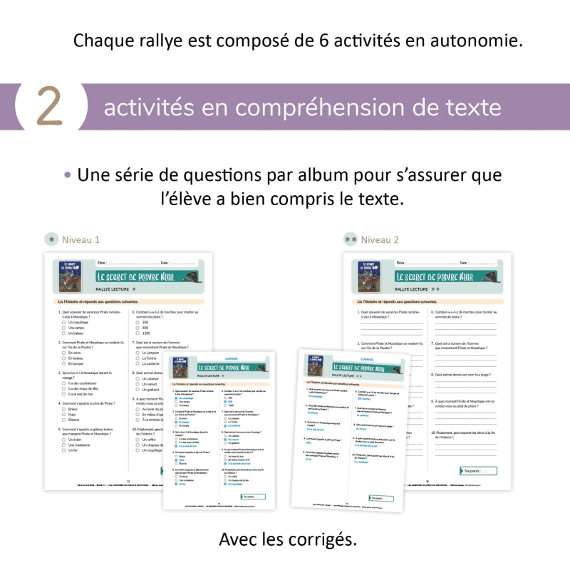 Les aventures de Pirate et Moustique - Niveau 3 - Fichier pédagogique Les aventures de Pirate et Moustique - Niveau 3 - Fichier pédagogique